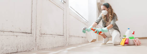 Best Biohazard Mold Removal  in Rancho San Diego, CA